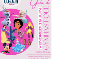 Gala fin d'année