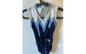 Justaucorps Velour Bleu Occasion